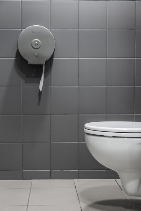 Kompleksowe wyposażenie toalet publicznych (1)